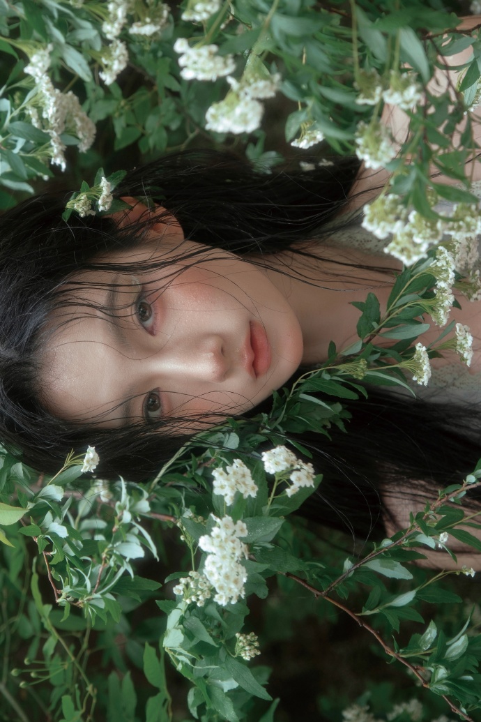 蜘蛛池访问日志的深度分析